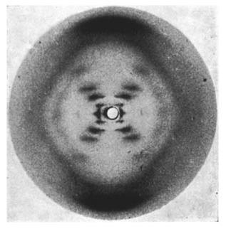 X-ray diffraction image of DNA. (c) Nature Magazine. Franklin, R. & Gosling, R. G. Nature 171, 740-741 (1953) - doi:10.1038/171740a0