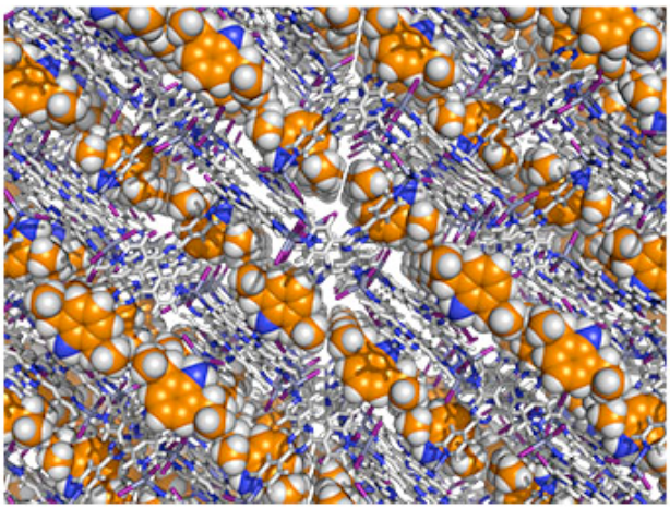 Molecules placed into a host crystal